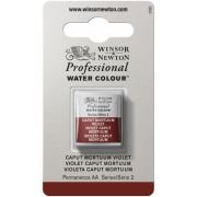 Demi-godet d’aquarelle extra-fine Winsor & Newton Pro – Violet caput mortuum 125 Série 2
