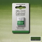 Demi-godet d’aquarelle extra-fine Winsor & Newton Pro – Oxyde de chrome 459 (Série 3)