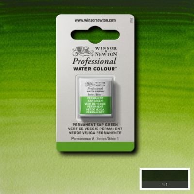 Demi-godet d’aquarelle extra-fine Winsor & Newton Pro – Vert vessie permanent 503 (Série 1)