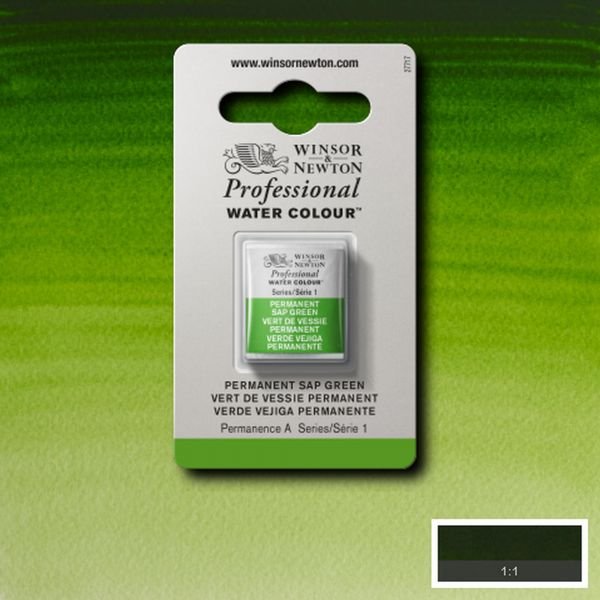 Demi-godet d’aquarelle extra-fine Winsor & Newton Pro – Vert vessie permanent 503 (Série 1)