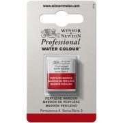 Demi-godet d’aquarelle extra-fine Winsor & Newton Pro – Marron de pérylène 507 (Série 3)