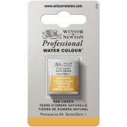 Demi-godet d’aquarelle extra-fine Winsor & Newton Pro – Terre d’ombre naturelle 554 Série 1