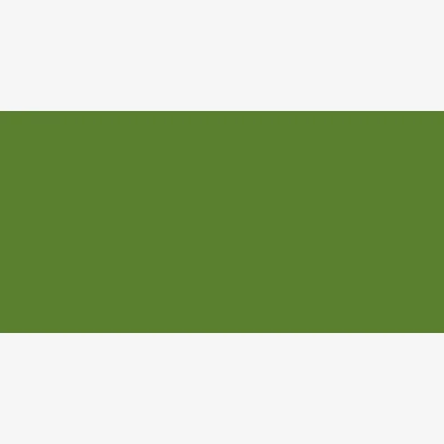 CARRE CONTE COULEUR VERT OLIVE 016