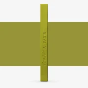 CARRE CONTE COULEUR VERT FEUILLAGE 076
