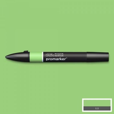 Feutre Promarker Pomme (G338)