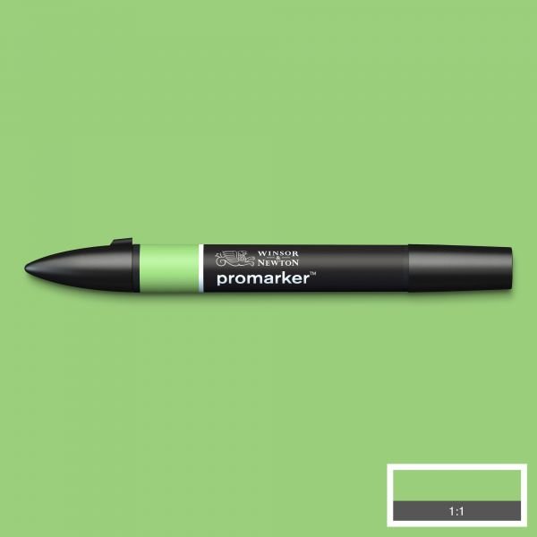 Feutre Promarker Pomme (G338)