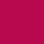 Feutre Promarker Rouge Cardinal (R244)