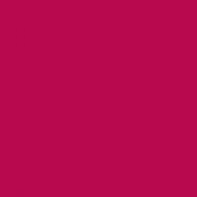 Feutre Promarker Rouge Cardinal (R244)