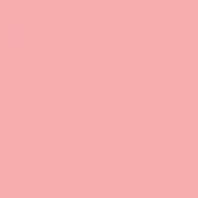Feutre Promarker Rose Cocktail (R438)