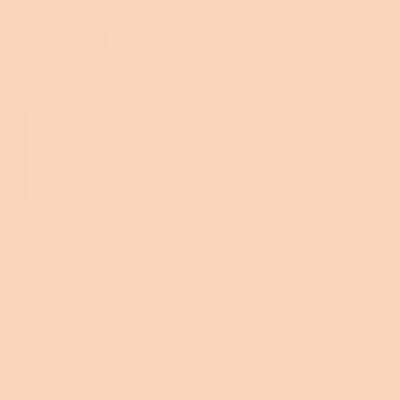 Feutre Promarker Vieux Rose (O518)