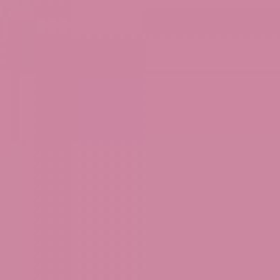 Feutre Promarker Rose Sombre (R327)