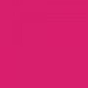 Feutre Promarker Rose Eclatant (R365)