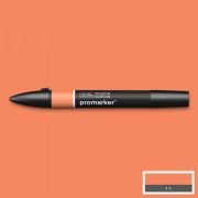 Feutre Promarker Mangue (O248)