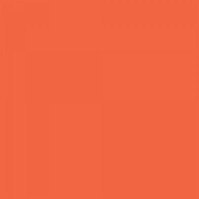 Feutre Promarker Orange (R866)