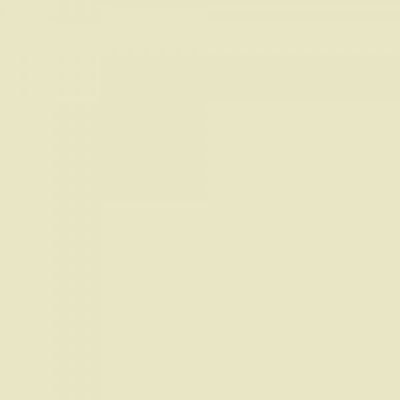 Feutre Promarker Beige Pastel (Y717)