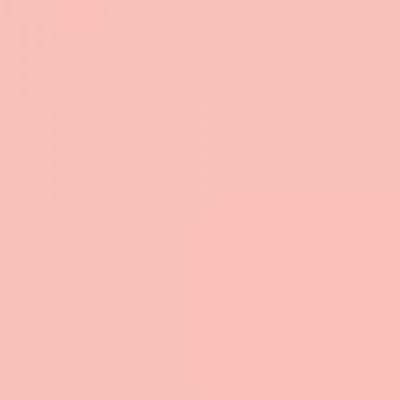 Feutre Promarker Rose Pastel (R738)