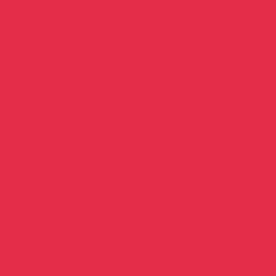 Feutre Promarker Rouge (R666)