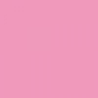 Feutre Promarker Rose Rose (M727)