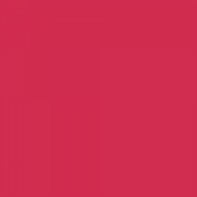 Feutre Promarker Ruby (R455)
