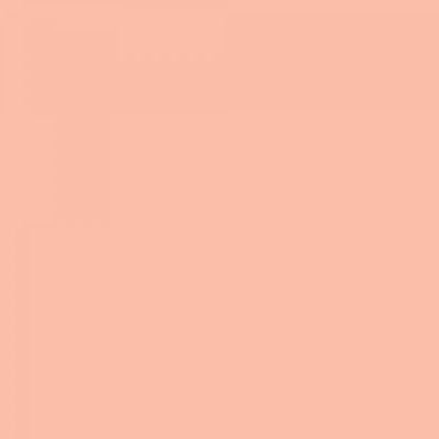 Feutre Promarker Rose Bronze (O228)