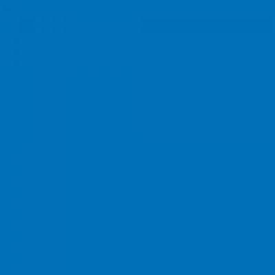 Feutre Promarker Bleu Franc (B555)