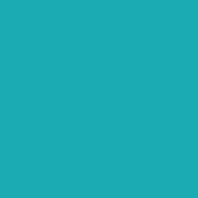 Feutre Promarker Turquoise (C247)