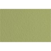 Feuille de papier Tiziano 160g vert mousse 14 format 50x65cm (retrait en boutique seulement)
