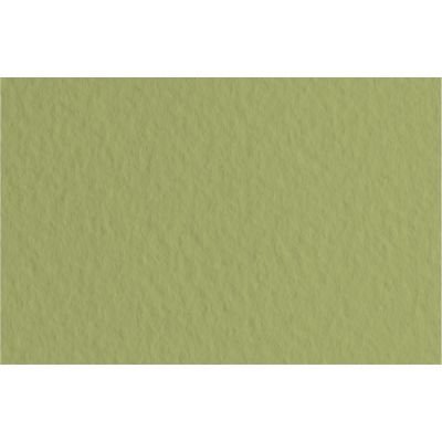Feuille de papier Tiziano 160g vert mousse 14 format 50x65cm (retrait en boutique seulement)