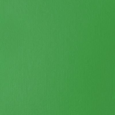 Tube de 118mL d’acrylique Basics – vert permanent clair