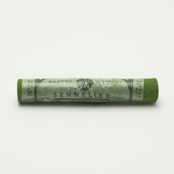 Pastel sec à l’écu Sennelier – Vert olive 237
