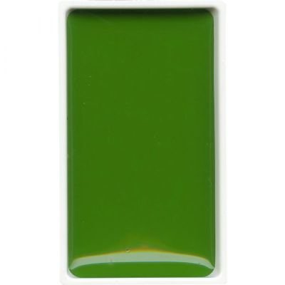 GANSAI GODET EXTRA FINE VERT MOYEN 53