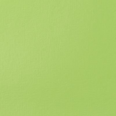 Tube de 118mL d’acrylique Basics – vert jaune brillant