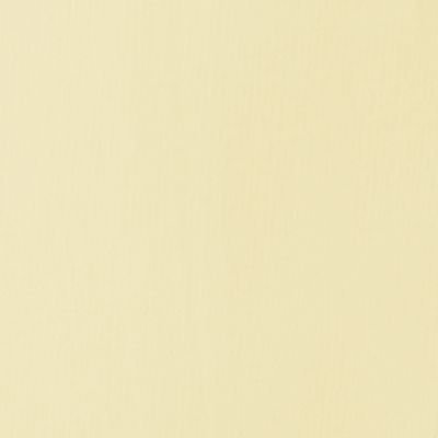 Tube de 118mL d’acrylique Basics – parchment