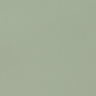 Tube de 118mL d’acrylique Basics – green grey