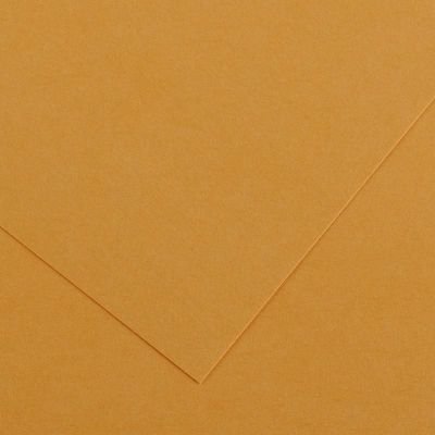 Feuille de papier Vivaldi 240g cuir 32 format 50x65cm (retrait en boutique seulement)