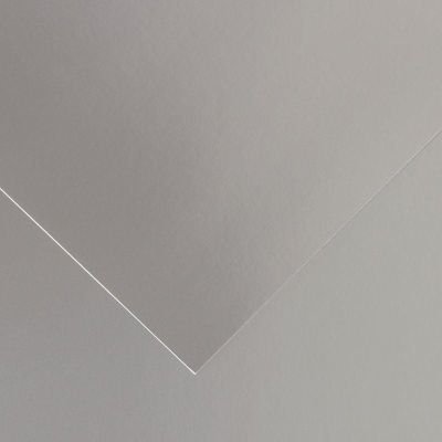 Feuille de papier Vivaldi 280g Gris argent 40 format 50x65cm (retrait en boutique seulement)