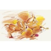 Trousse de 30 crayons Polychromos et accessoires