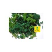 LICHEN CLX 254