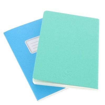 Sketch & notes lot de 2 carnets format A4 couverture Delphinium / Menthe